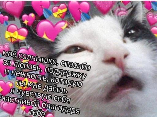 ❤️ Стикер «ProvinsiaAlkashki» для Telegram