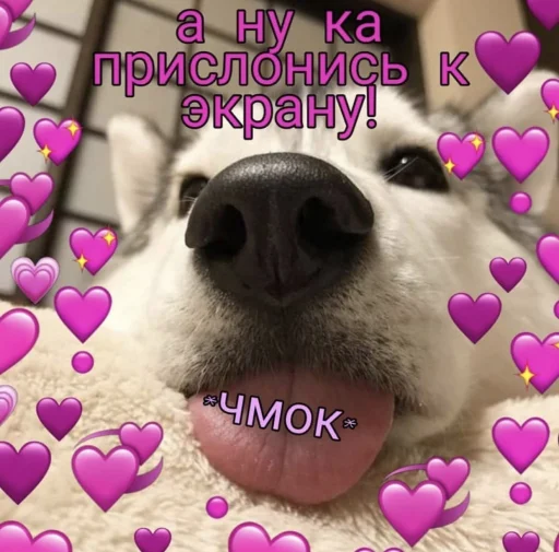 ❤️ Стикер «ProvinsiaAlkashki» для Telegram