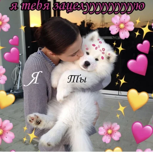 ❤️ Стикер «ProvinsiaAlkashki» для Telegram