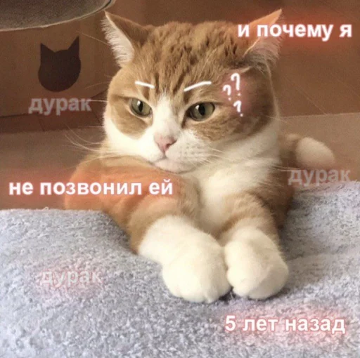 ❤️ Стикер «ProvinsiaAlkashki» для Telegram