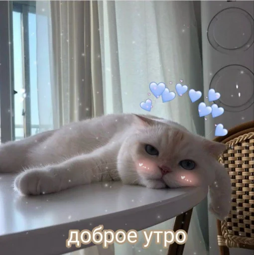 ❤️ Стикер «ProvinsiaAlkashki» для Telegram