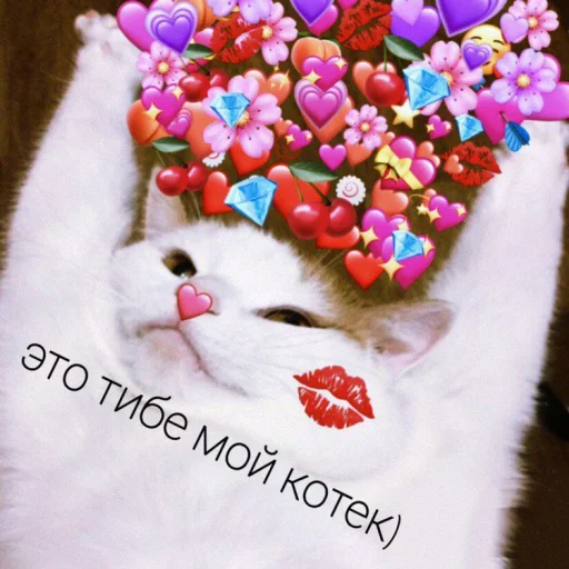 ❤️ Стикер «ProvinsiaAlkashki» для Telegram