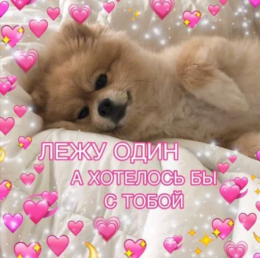 ❤️ Стикер «ProvinsiaAlkashki» для Telegram