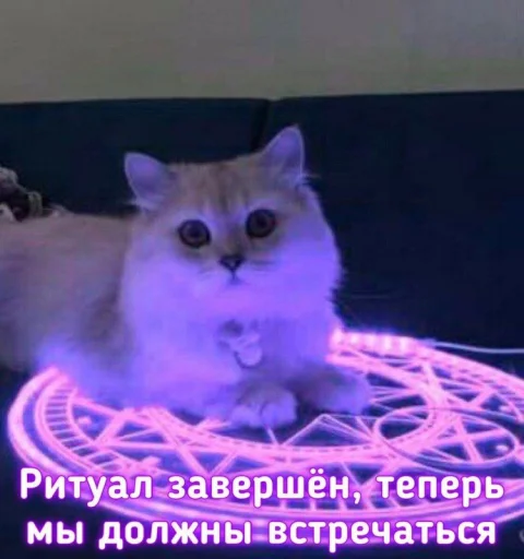 ❤️ Стикер «ProvinsiaAlkashki» для Telegram