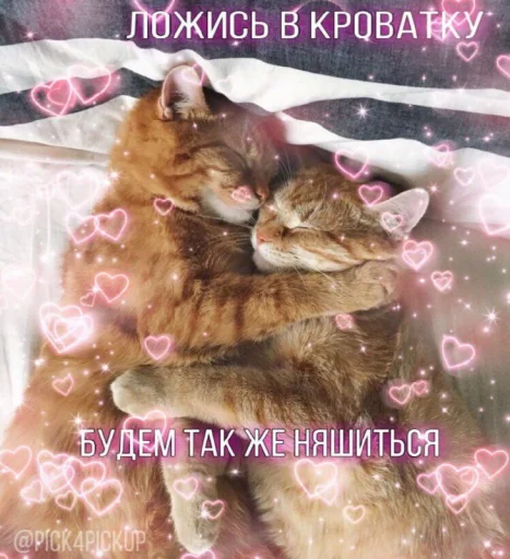 ❤️ Стикер «ProvinsiaAlkashki» для Telegram