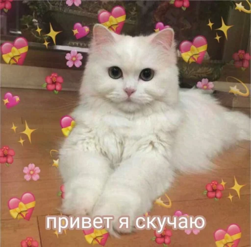 ❤️ Стикер «ProvinsiaAlkashki» для Telegram
