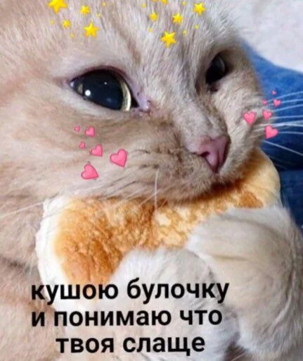 ❤️ Стикер «ProvinsiaAlkashki» для Telegram