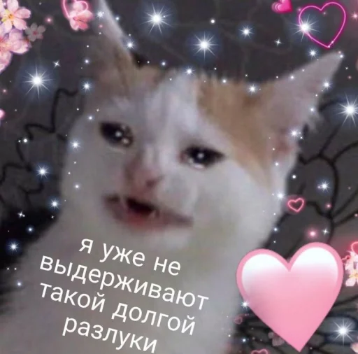 ❤️ Стикер «ProvinsiaAlkashki» для Telegram