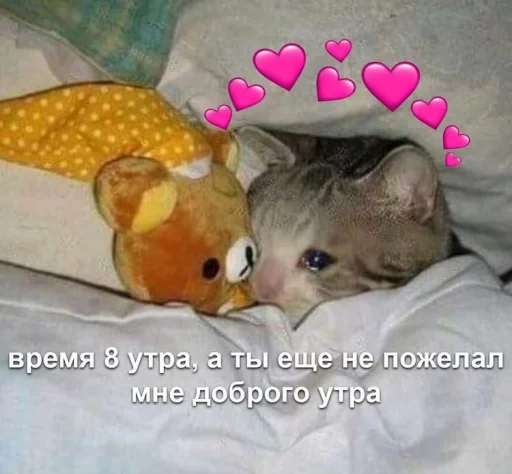 ❤️ Стикер «ProvinsiaAlkashki» для Telegram