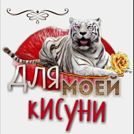 🐯 Стикер «Любовь и открытки» для Telegram