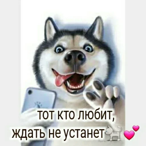 🐺 Стикер «Любовь и открытки» для Telegram
