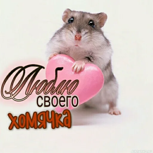 🐹 Стикер «Любовь и открытки» для Telegram