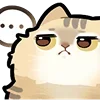 Стикер 20 Love Cats
