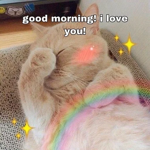 ❤️ Стикер «Love cats» для Telegram