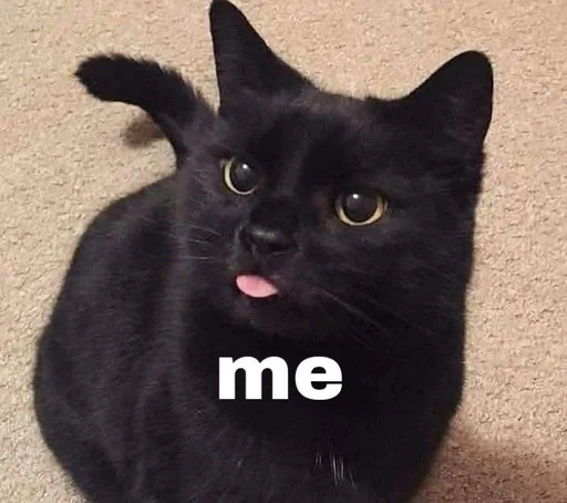 👩‍❤️‍👨 Стикер «Love cats» для Telegram