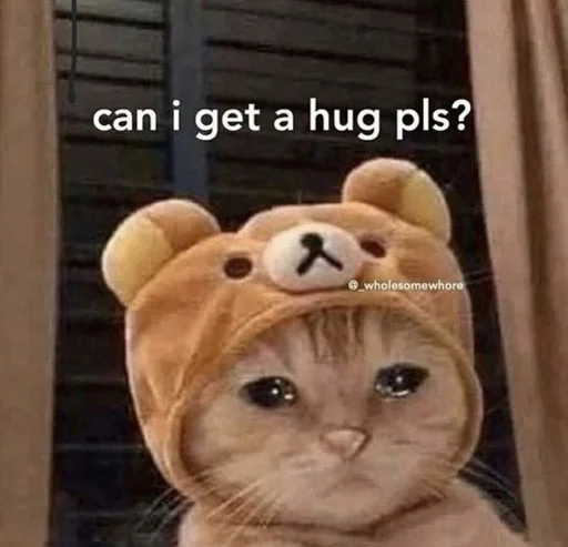 🥹 Стикер «Love cats» для Telegram