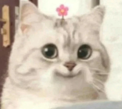 😊 Стикер «Love cats» для Telegram