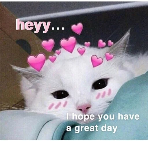 ❤️ Стикер «Love cats» для Telegram