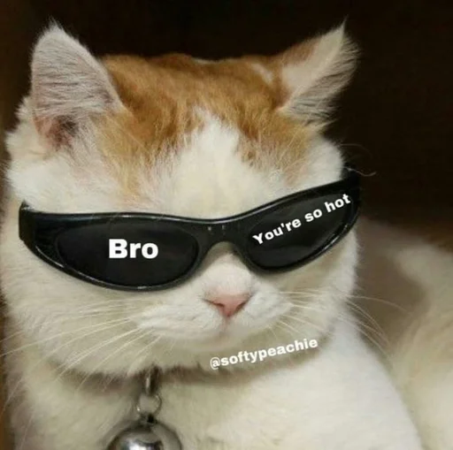 😏 Стикер «Love cats» для Telegram