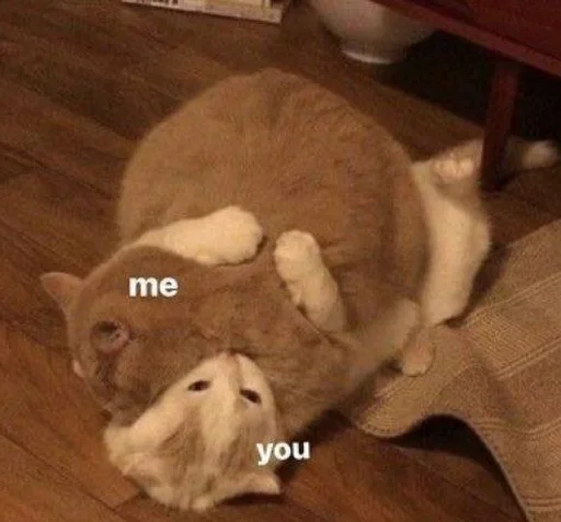 ❤️ Стикер «Love cats» для Telegram