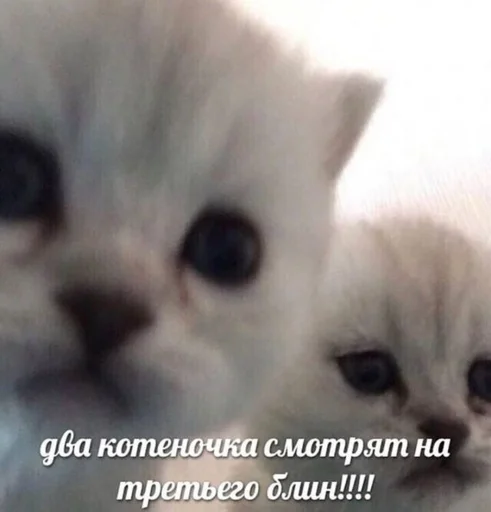 😍 Стикер «Любви» для Telegram