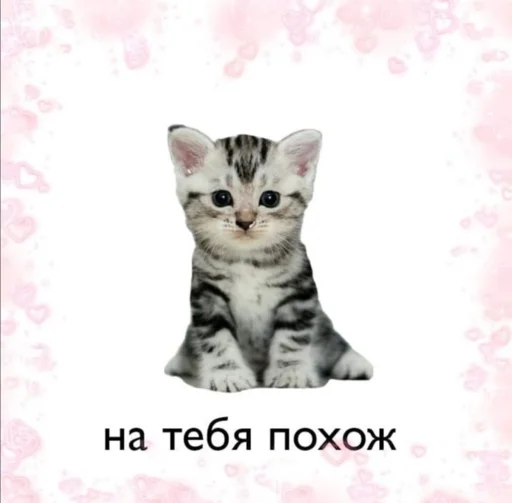 ☺️ Стикер «Любви» для Telegram