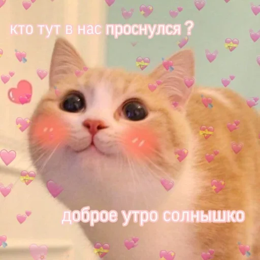 😘 Стикер «Любви» для Telegram
