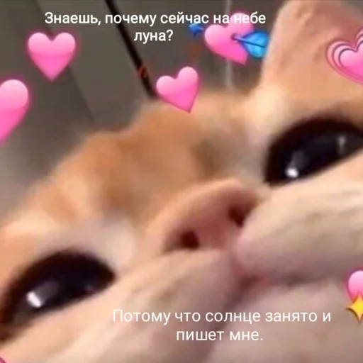 😙 Стикер «Любви» для Telegram