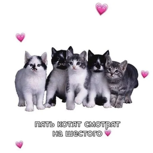 💙 Стикер «Любви» для Telegram