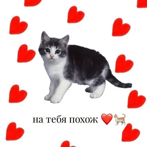 💓 Стикер «Любви» для Telegram