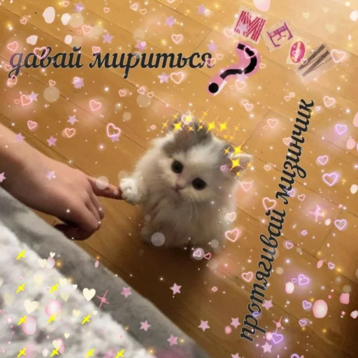 🍑 Стикер «Любви» для Telegram