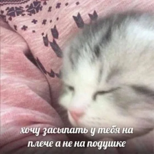 🫦 Стикер «Любви» для Telegram