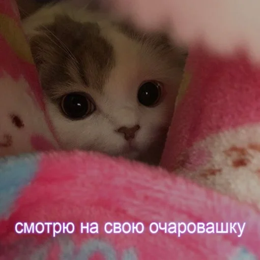 🤗 Стикер «Любви» для Telegram