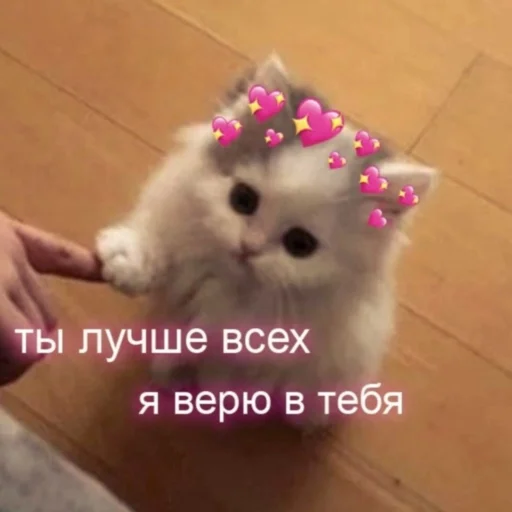 💟 Стикер «Любви» для Telegram