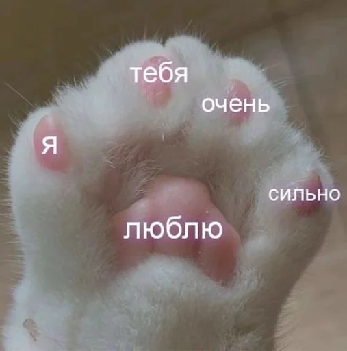 👄 Стикер «Любви» для Telegram