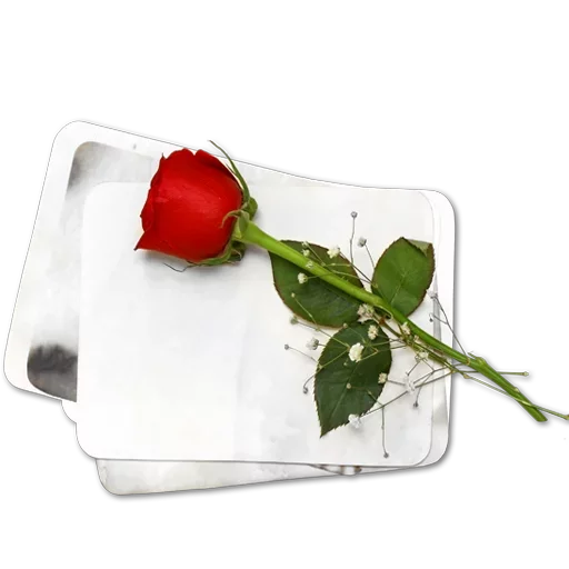 😍 Стикер «Love FOREVER» для Telegram