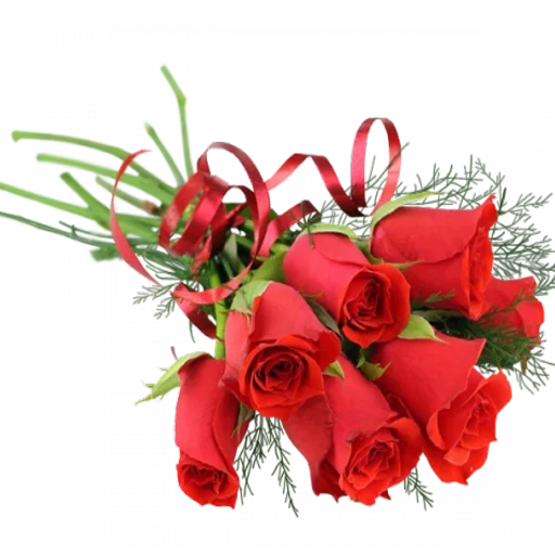 😍 Стикер «Love FOREVER» для Telegram
