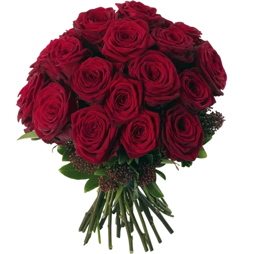 😍 Стикер «Love FOREVER» для Telegram