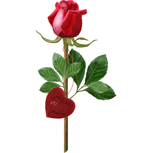 😍 Стикер «Love FOREVER» для Telegram