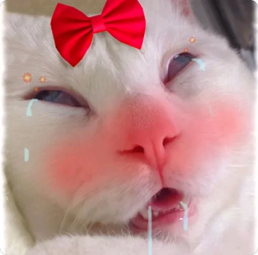 Стикерпак Lovely Memes для Telegram