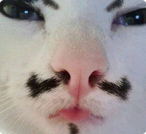 😚 Стикер «Lovely Memes» для Telegram