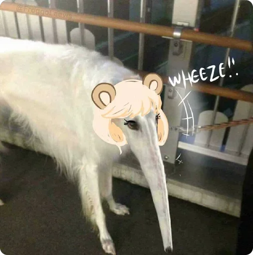 🤪 Стикер «Lovely Memes» для Telegram