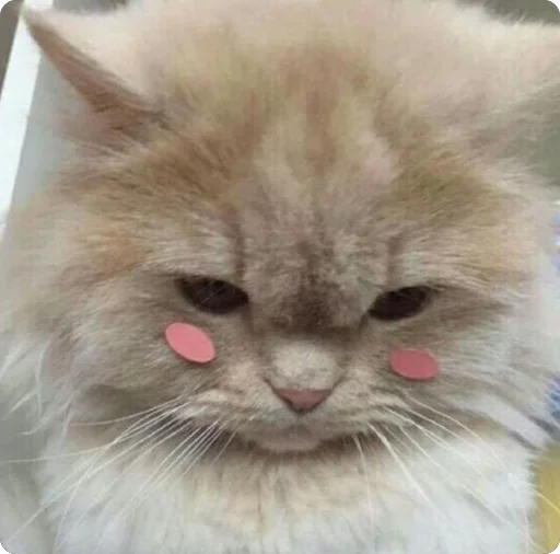 😋 Стикер «Lovely Memes» для Telegram