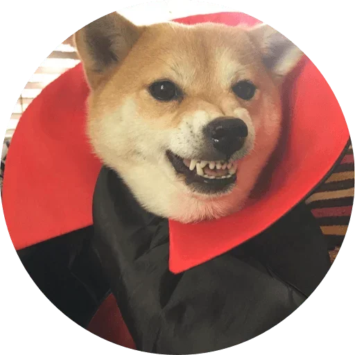Стикерпак Favourite для Telegram