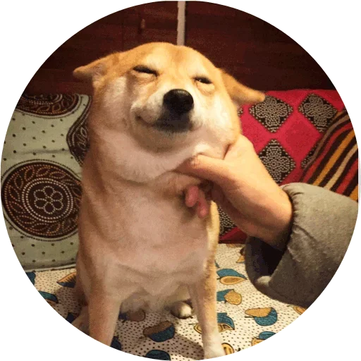 🧐 Стикер «Favourite» для Telegram