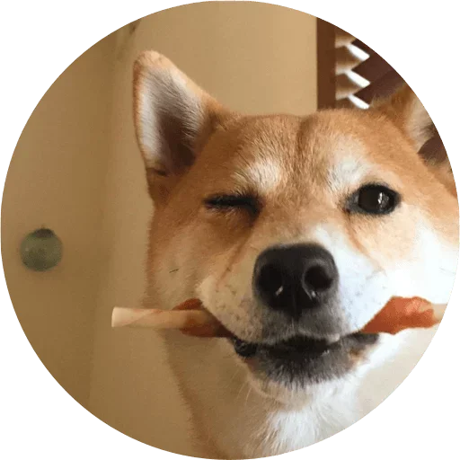 🤓 Стикер «Favourite» для Telegram