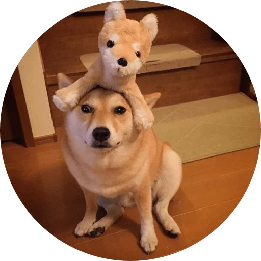 😙 Стикер «Favourite» для Telegram