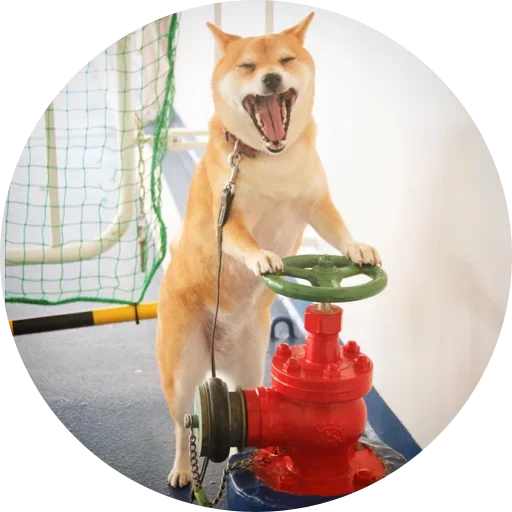 😋 Стикер «Favourite» для Telegram