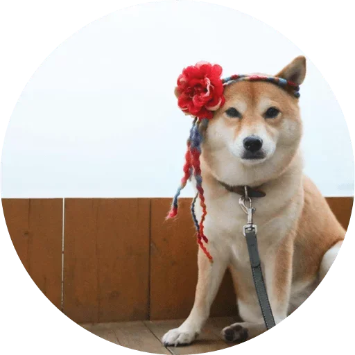 😋 Стикер «Favourite» для Telegram