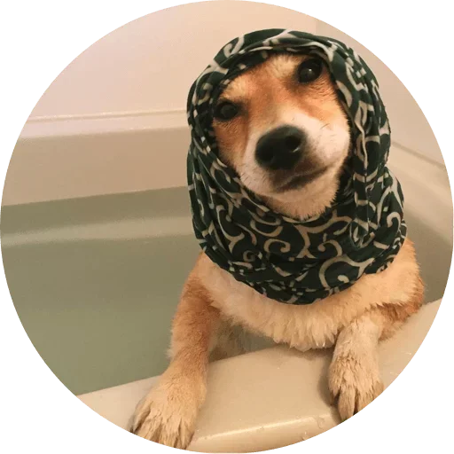 🤨 Стикер «Favourite» для Telegram
